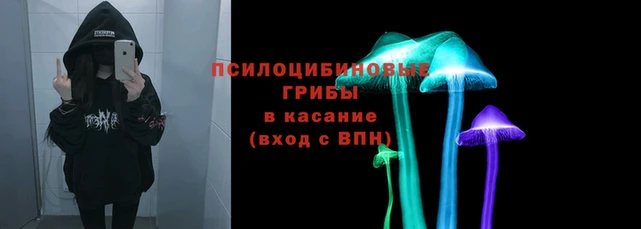 МДПВ Ростов