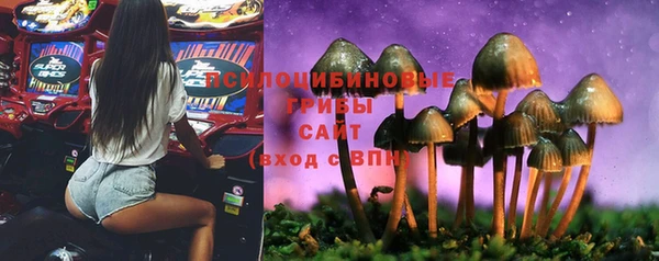 МДПВ Ростов