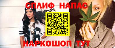 амф Моздок