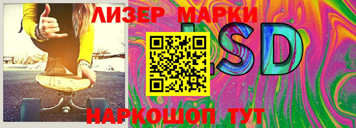 МЕФ Свободный