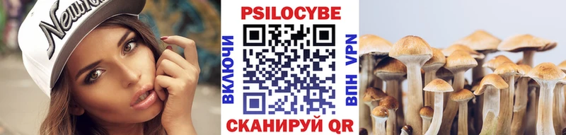 Галлюциногенные грибы ЛСД  где найти   Свободный 