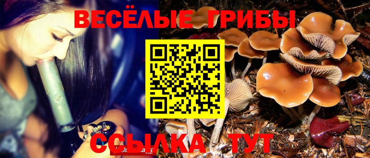 Псилоцибиновые грибы ЛСД Свободный