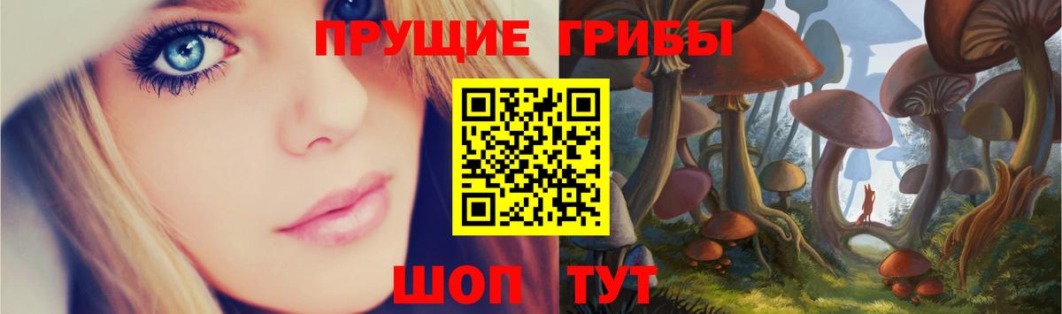 Свободный  Галлюциногенные грибы мицелий  Вход с VPN 